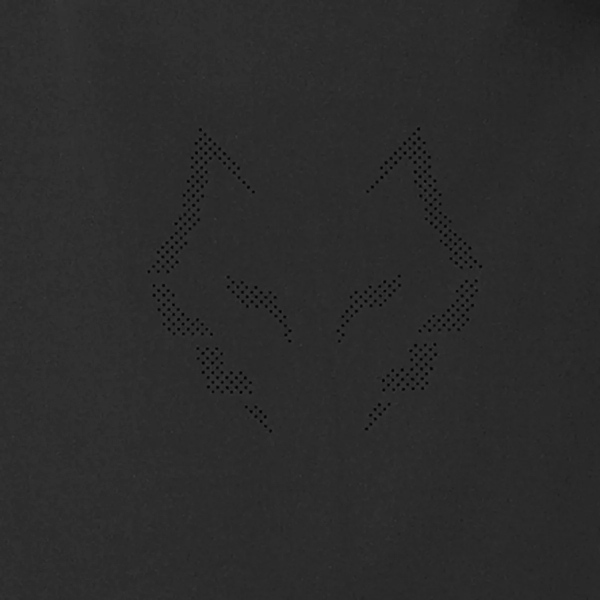 BABOLAT Padel Jacket J. Lebron